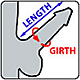 Penis Length And Girth Size