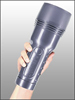 Silver Fleshlight Case