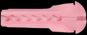 Fleshlight Girls Forbidden Inner Texture